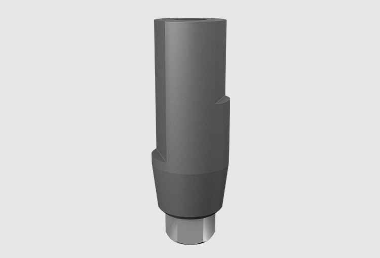 P3-SC Scan abutments