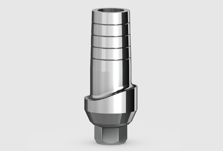 P3S Anatomic anti-rotation abutment
