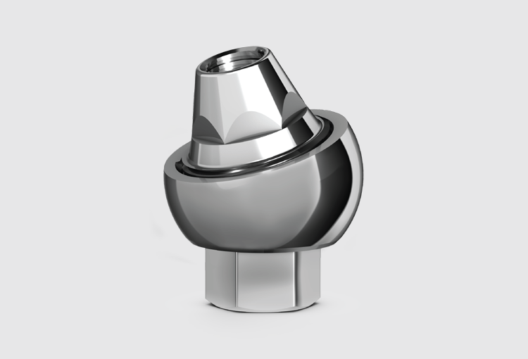 P14 Angular abutment