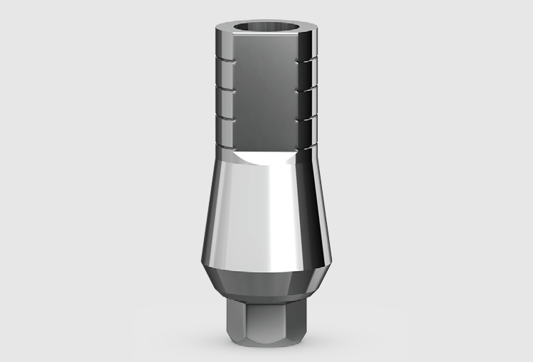 P3 Anti-rotation abutment