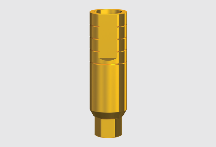 P3-3 Narrow anti-rotation abutment