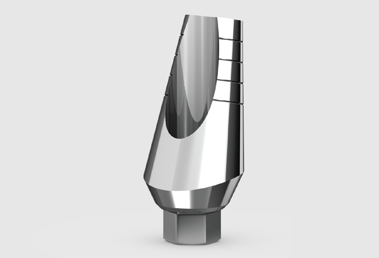 P4 Angular abutment