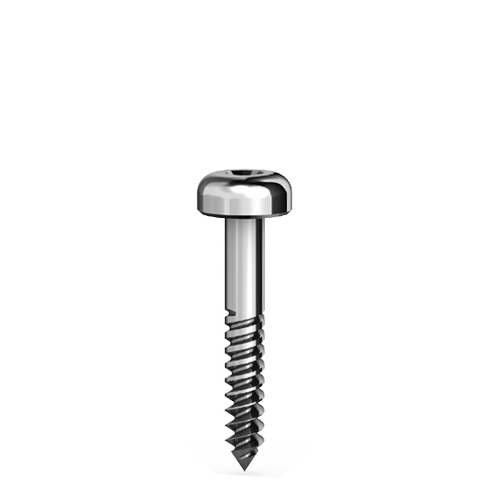 FS-13 Short fixation screw