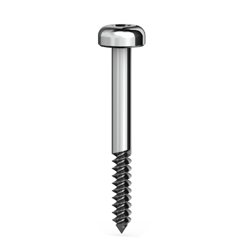 FS-19 Long fixation screw