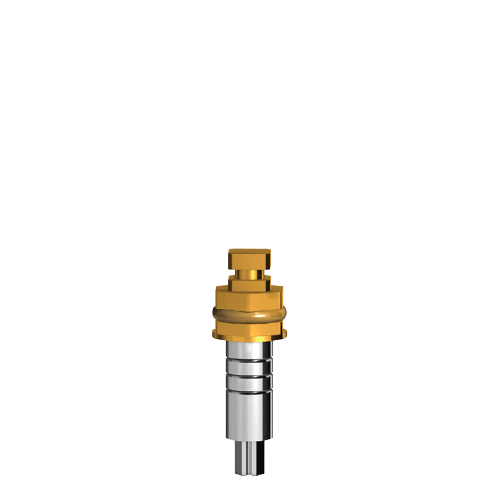 T3G-2.4,21-Y Driver for inserting the implant – AB Dental Devices Ltd., System-Independent Instruments and Accessories