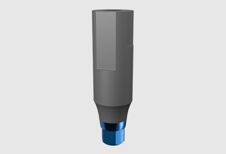 P3LC-4,SC Long Scan Abutment