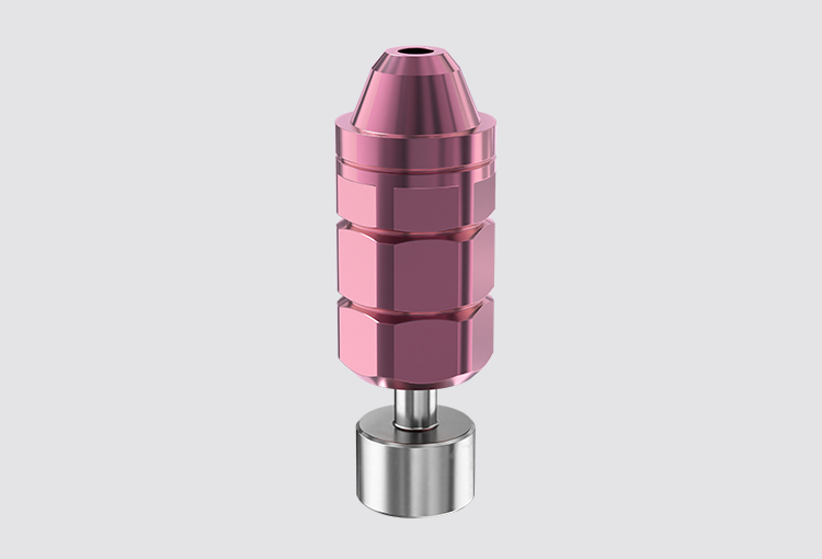 Digital Model Analog for P24 multi-unit abutment