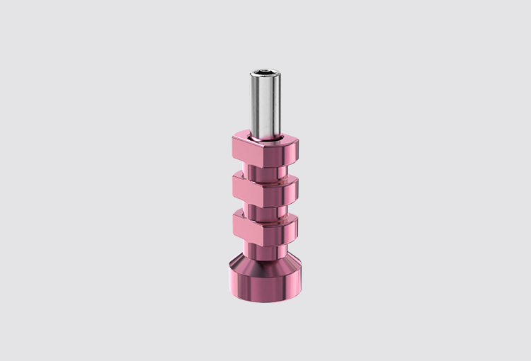 D2-P24N Impression Transfer