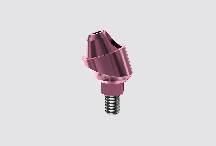P24 Angular/straight multi-unit abutment