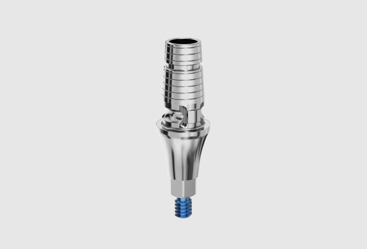 P3NLC Long Ti base abutment