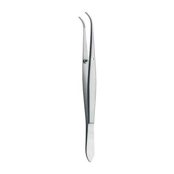 Tweezers – Dressing Plier Perry – Accuram Instruments, Tweezers & Forceps