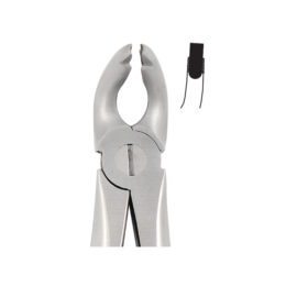 Tooth Forceps Englisth Pattern Fig. 181 – Accuram Instruments, Extraction Forceps
