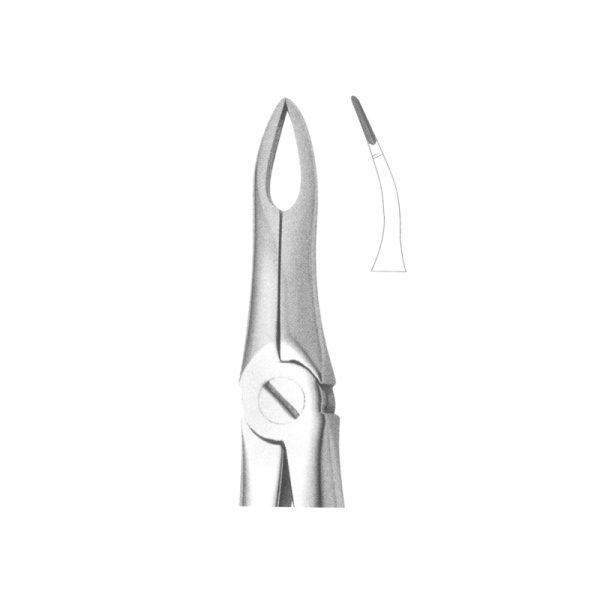 Tooth Forceps Englisth Pattern Fig. 49 – Accuram Instruments, Extraction Forceps
