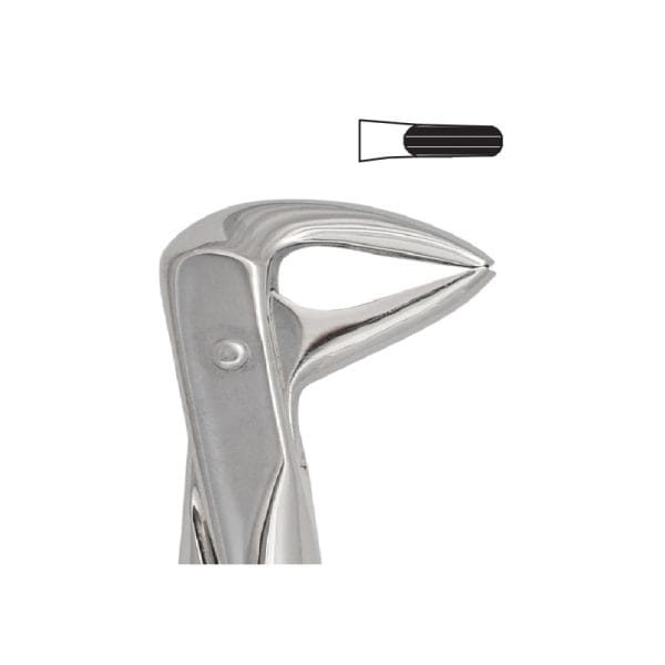Tooth Forceps Englisth Pattern Fig. 123