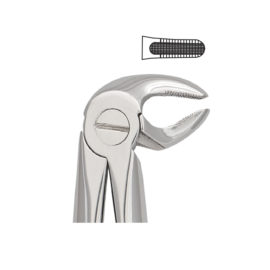 Tooth Forceps Englisth Pattern Fig. 13 – Accuram Instruments, Extraction Forceps