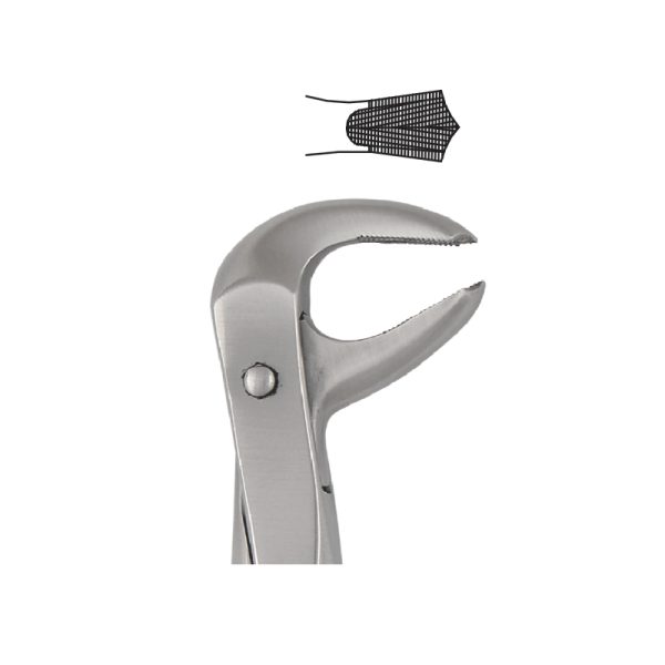 Tooth Forceps Englisth Pattern Fig. 73 – Accuram Instruments, Extraction Forceps