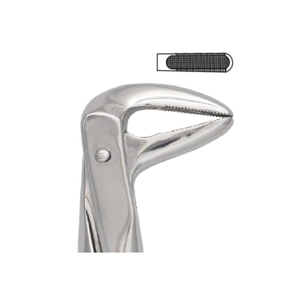 Tooth Forceps Englisth Pattern Fig. 74 – Accuram Instruments, Extraction Forceps