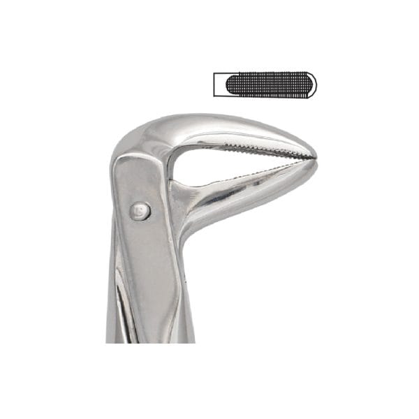 Tooth Forceps Englisth Pattern Fig. 74