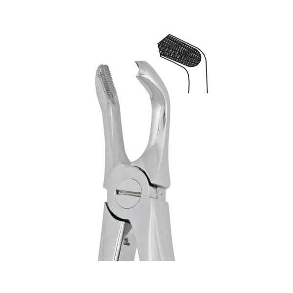 Tooth Forceps Englisth Pattern Fig. 79 – Accuram Instruments, Extraction Forceps