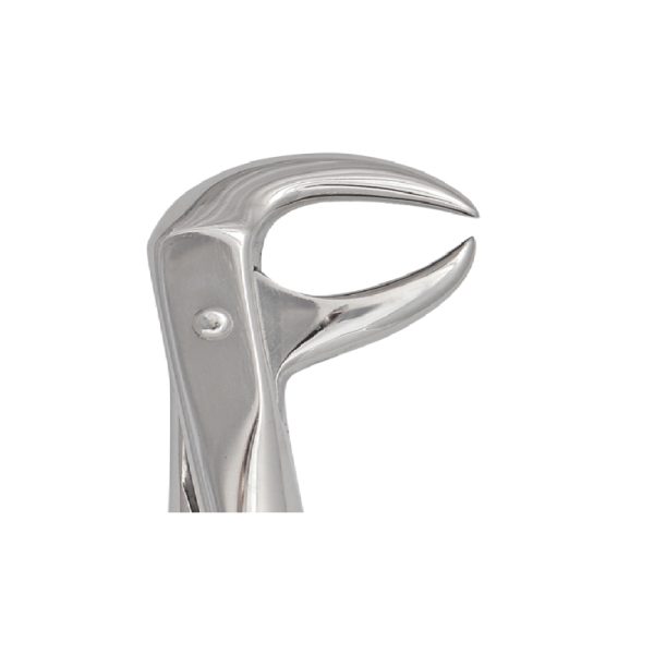 Tooth Forceps Englisth Pattern Fig. 86 – Accuram Instruments, Extraction Forceps