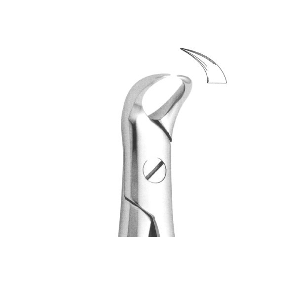 Tooth Forceps Englisth Pattern Fig. 87 – Accuram Instruments, Extraction Forceps