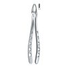 Tooth Forceps Englisth Pattern Hole Handle Fig. 2 – Accuram Instruments, Extraction Forceps
