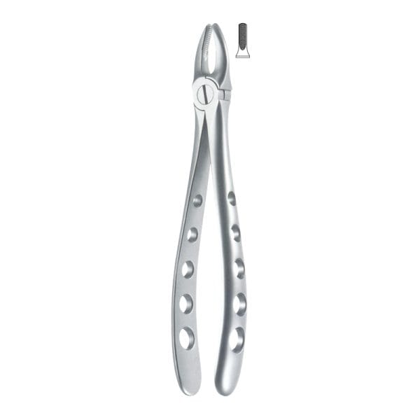 Tooth Forceps Englisth Pattern Hole Handle Fig. 2