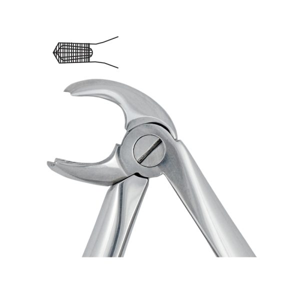 Tooth Forceps Pedodontic Spring Pattern Fig. 160 – Accuram Instruments, Extraction Forceps