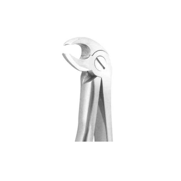 Tooth Forceps Blades Beak Grip Profile Anatomic Handle Fig. 22 – Accuram Instruments, Extraction Forceps