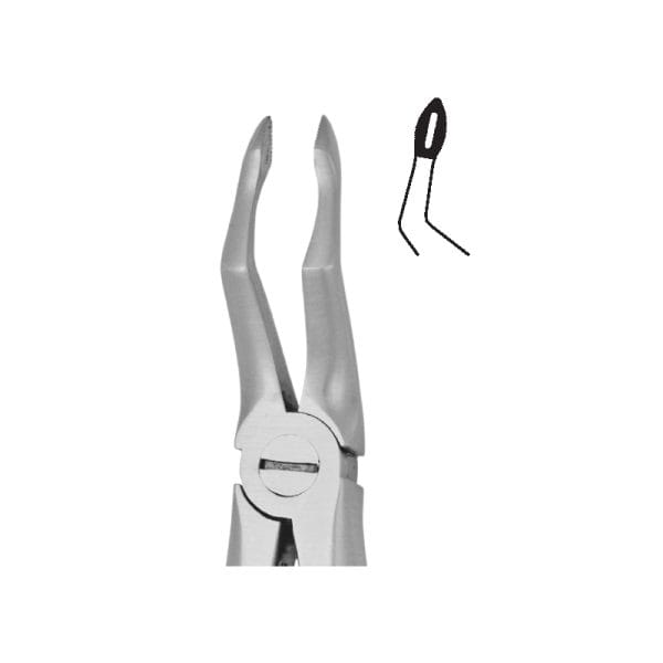 Tooth Forceps Blades Beak Grip Profile Anatomic Handle Fig. 51