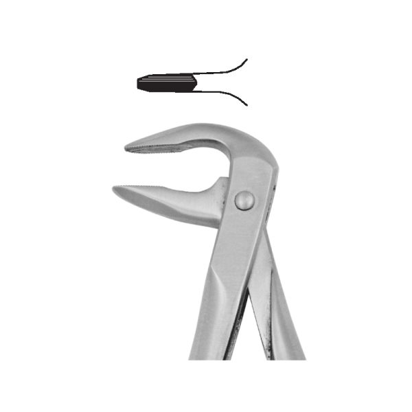 Tooth Forceps Blades Beak Grip Profile Anatomic Handle Fig. 74 – Accuram Instruments, Extraction Forceps
