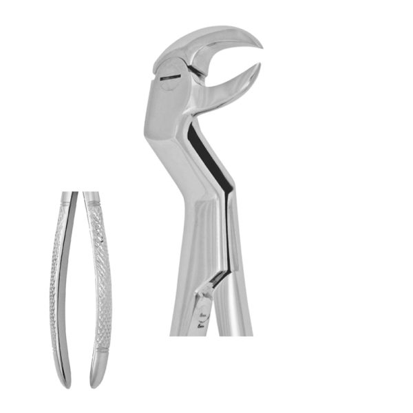 Tooth Forceps # Special – Accuram Instruments, Extraction Forceps
