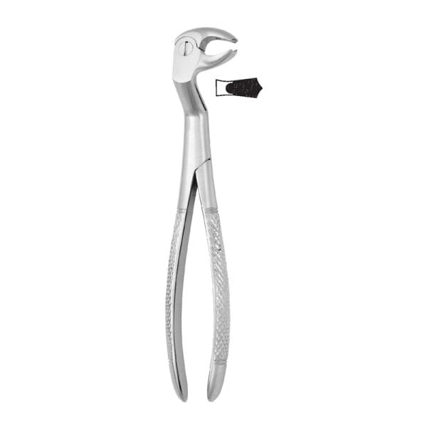Tooth Forceps Routurier