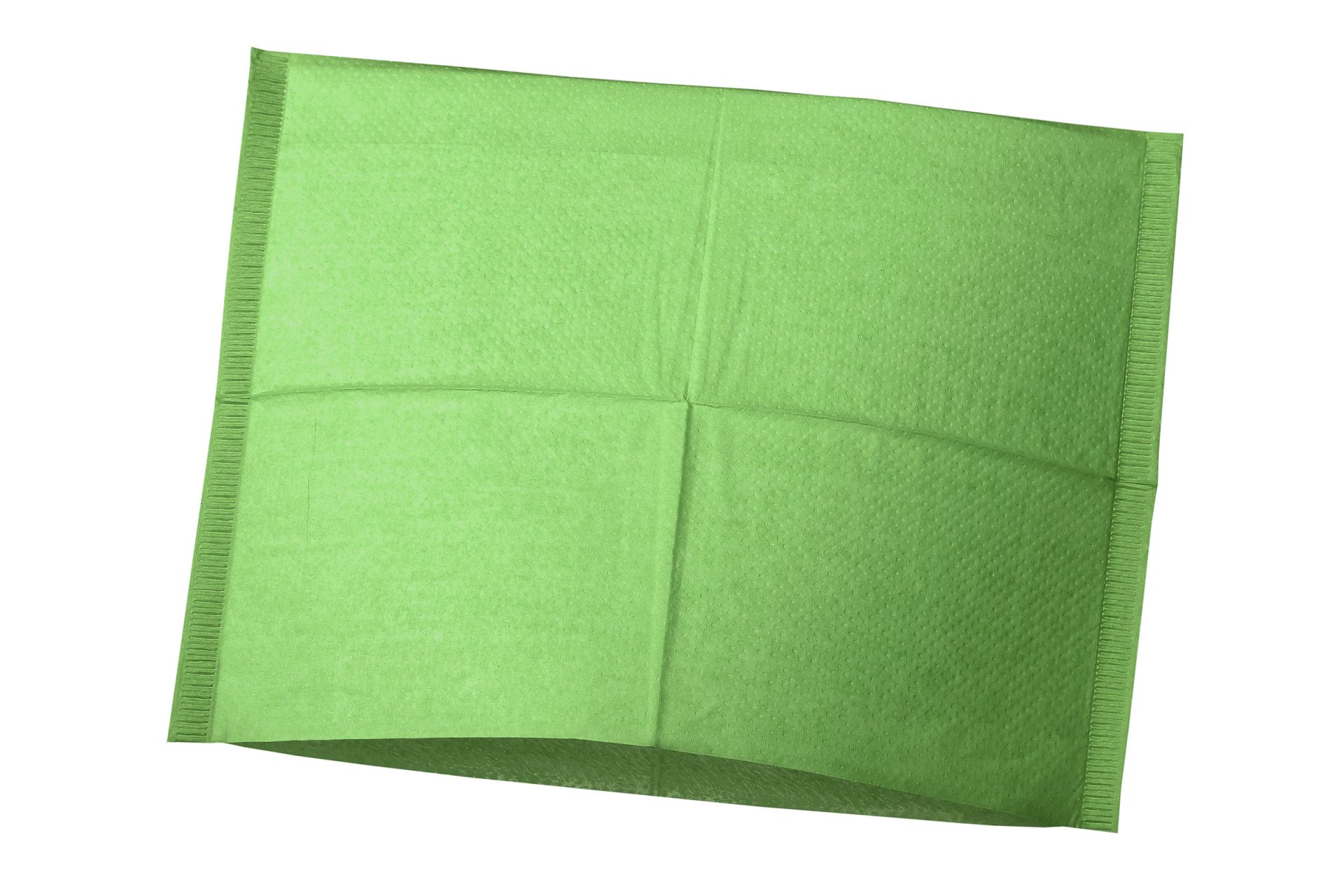 Tissue-PE Fresh Green (25x33cm)