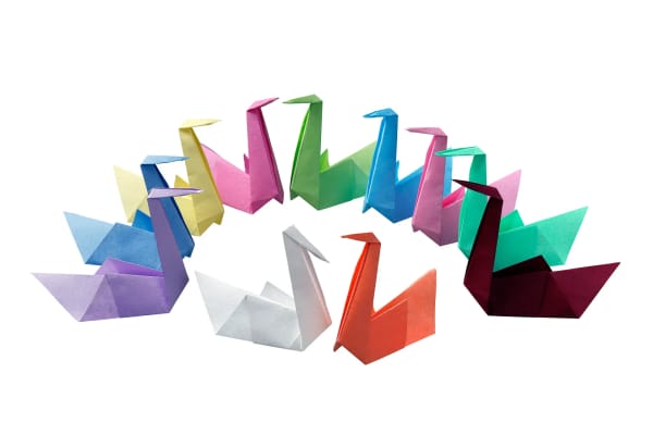 Tray Paper 28 x 36 cm