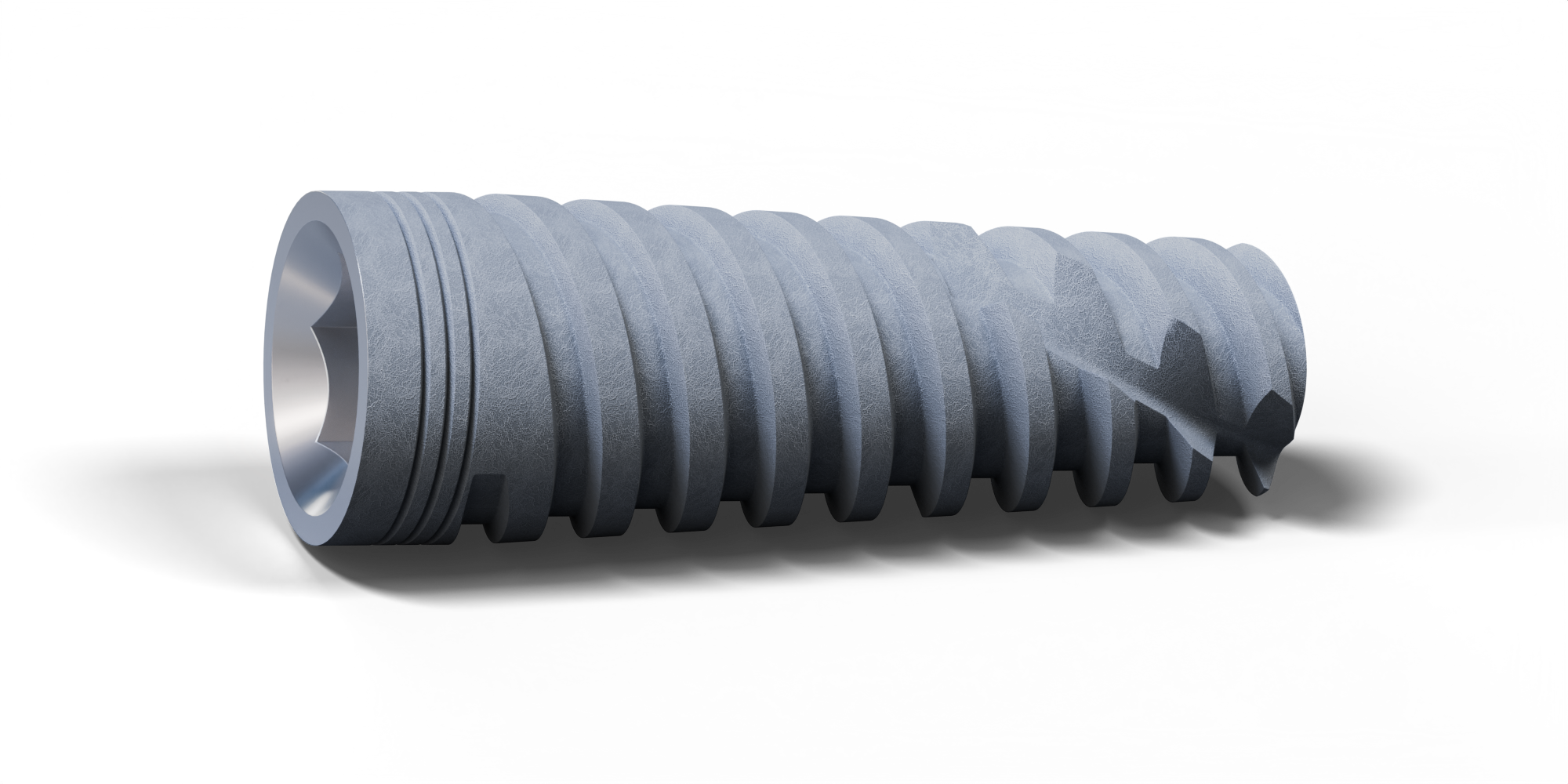 Porous Implant – Alfa Gate Holding Gmbh, Implant Systems