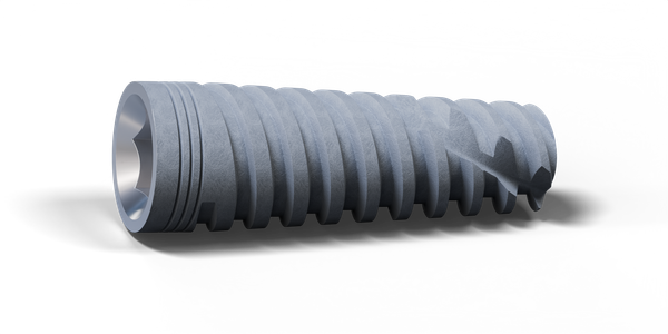 Porous Implant