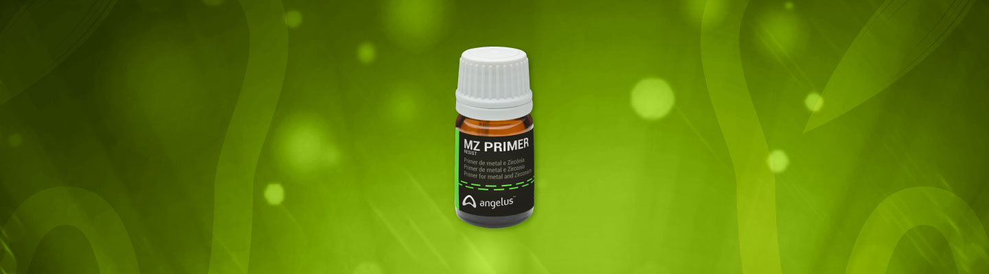 MZ PRIMER