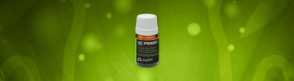 MZ PRIMER