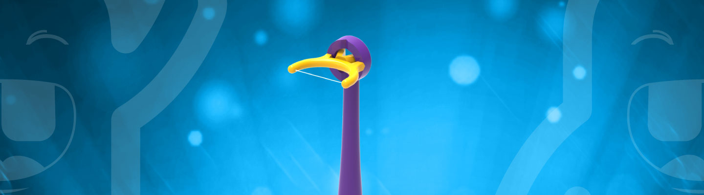 FLOSSER 360