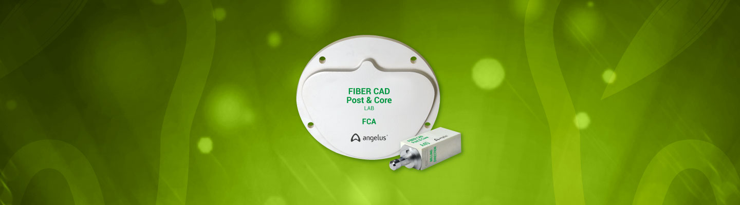 FIBER CAD – POST & CORE