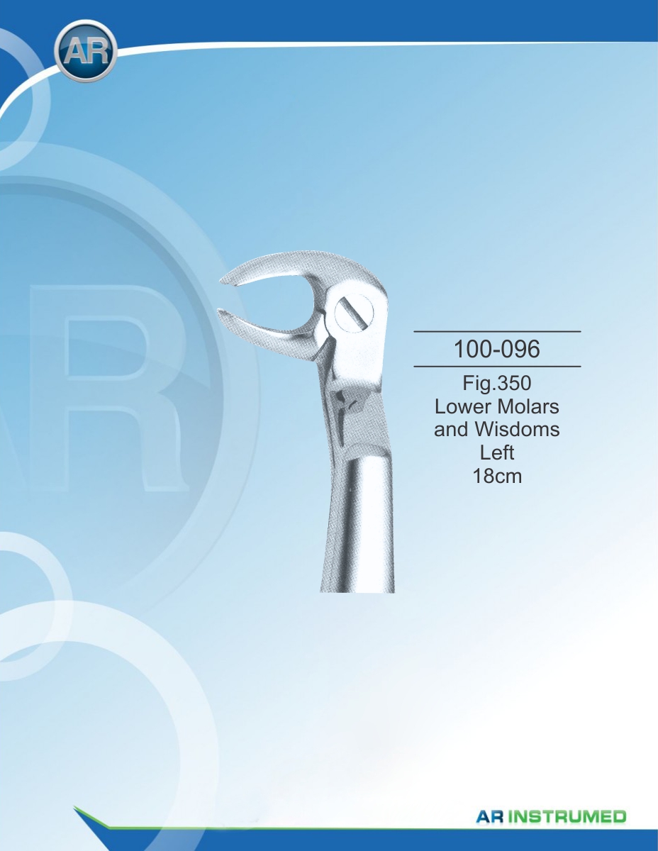 Fig.350 Lower Molars and Wisdoms Left 18cm