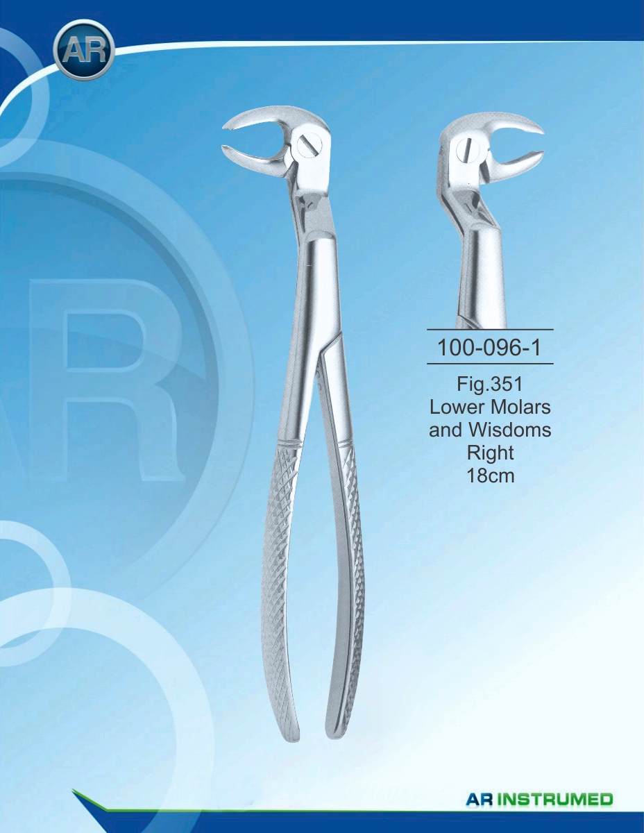 Fig.351 Lower Molars and Wisdoms Right 18cm