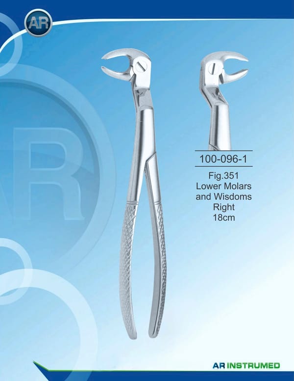 Fig.351 Lower Molars and Wisdoms Right 18cm