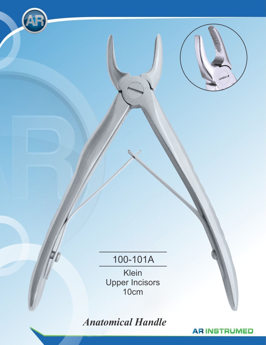 Klein Upper Incisors 10cm
