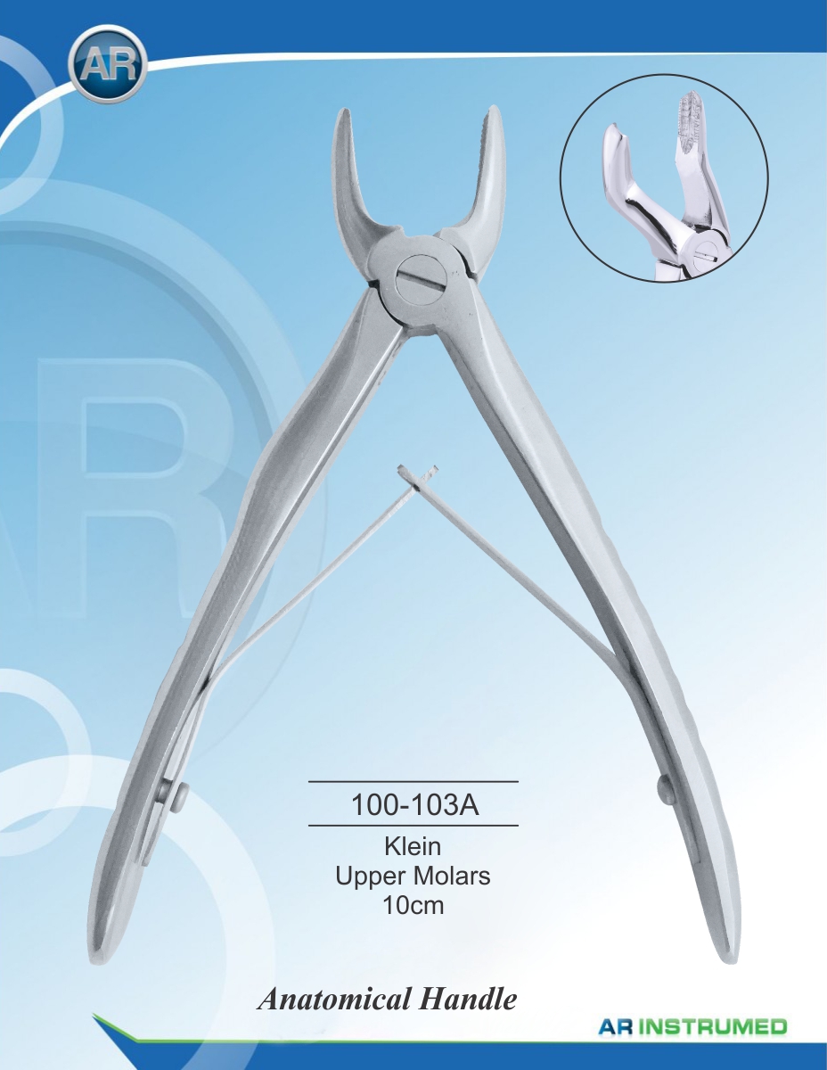 Klein Upper Molars 10cm