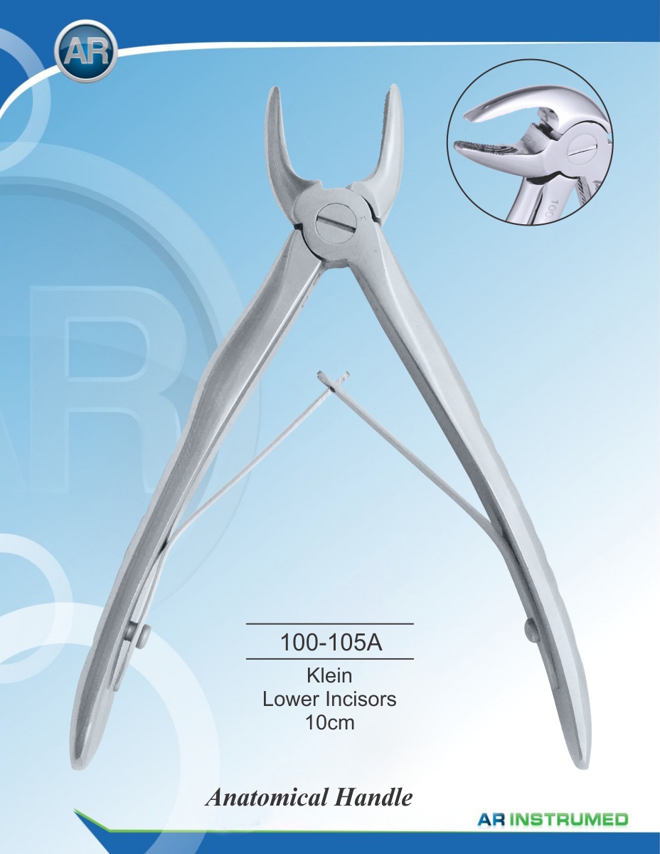 Klein Lower Incisors 10cm