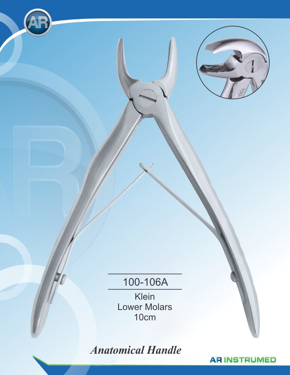 Klein Lower Molars 10cm