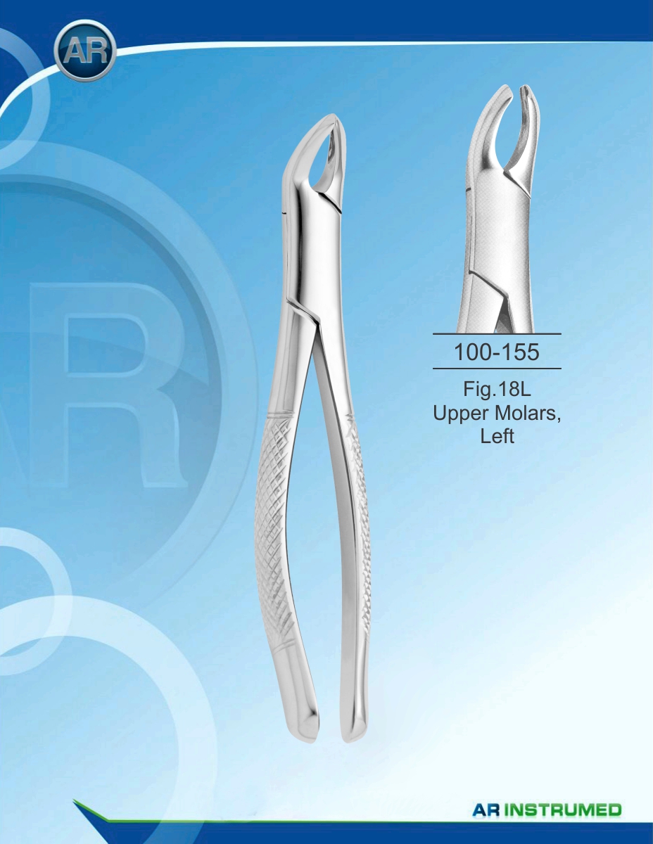 Fig.18L Upper Molars, Left