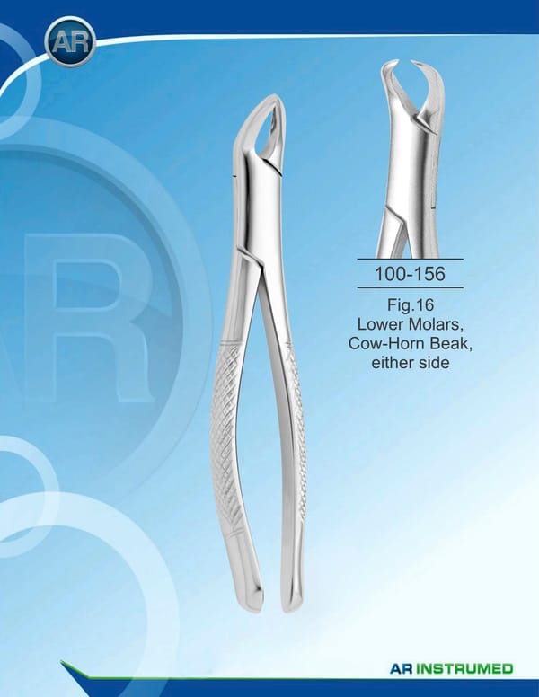 Fig.16 Lower Molars, Cow-Horn Beak, either side